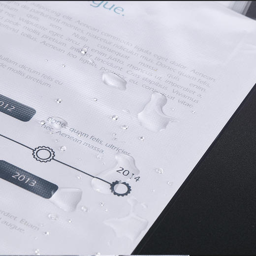 齐心EH303A A4文件保护袋 11孔活页袋文件夹内页0.06mm 20个/套 商品图3