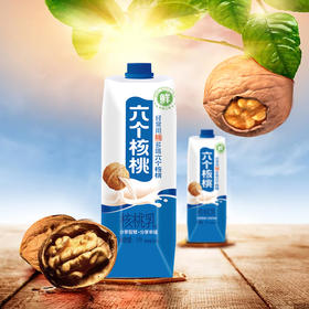 养元六个核桃 1L