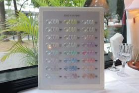 【秒杀价】胶研社·24人鱼贝壳