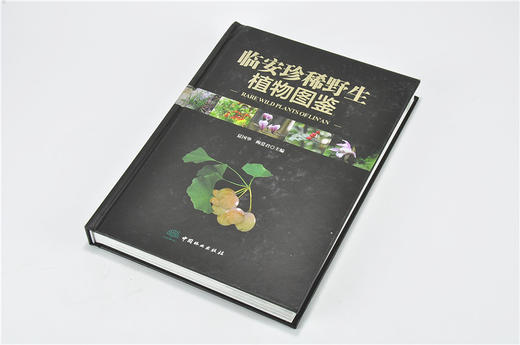 临安珍稀野生植物图鉴 9331 夏国华 梅爱君 主编 植物保护 气候条件 地形地貌 山脉 水系 土壤 森林植被 中国林业出版社 畅销书 商品图2
