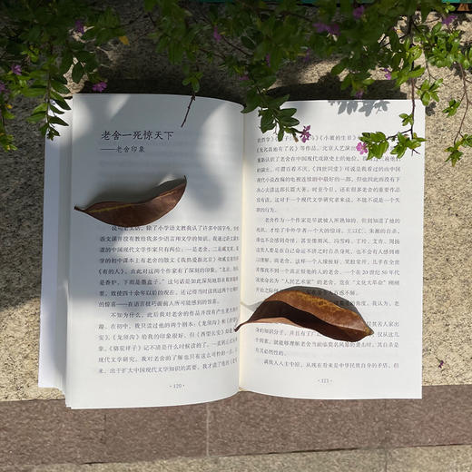 中国现代作家印象记 商品图10