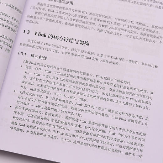 Flink核心技术：源码剖析与*性开发 大数据架构流处理计算引擎批处理 开源架构开发设计技术选型 流处理计算框架 商品图5