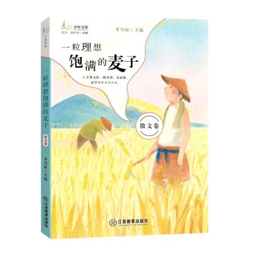 一粒理想饱满的麦子/麦田少年文库 商品图0