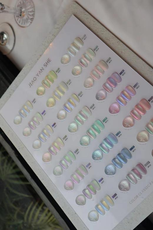 【秒杀价】胶研社·24人鱼贝壳 商品图4