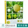 甜瓜优质高效栽培及病虫害防治新技术 9903 张万清 解文新 甜瓜种植分类 品种 栽培技术 中国林业出版社 畅销书 商品缩略图0