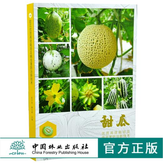 甜瓜优质高效栽培及病虫害防治新技术 9903 张万清 解文新 甜瓜种植分类 品种 栽培技术 中国林业出版社 畅销书 商品图0