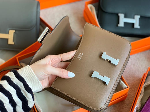 高定康康出货 〰️山羊皮威马犬 商品图7