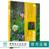 容器花园 9805 装饰门厅窗台阳台街头公园庭院应用 选择容器配置好土选择植物组合技巧后期养护 容器花园常用植物 案例分析书籍 商品缩略图0