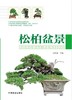 松柏盆景 马文其 7346 松柏盆景造型款式及制作过程 松树柏树盆景取材造型养护知识 中国林业出版社 商品缩略图1