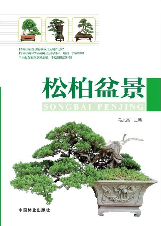 松柏盆景 马文其 7346 松柏盆景造型款式及制作过程 松树柏树盆景取材造型养护知识 中国林业出版社 商品图1