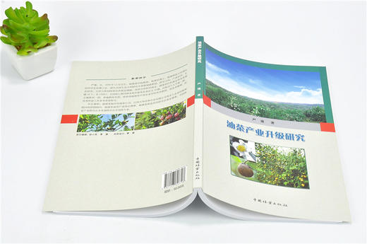 油茶产业升级研究 9679 严谨 著 中国林业出版社 畅销书籍 商品图4