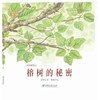 纷繁版纳之 榕树的秘密 大湄公的自然脉络系列  1405 中国林业出版社 商品缩略图0