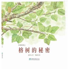 纷繁版纳之 榕树的秘密 大湄公的自然脉络系列  1405 中国林业出版社
