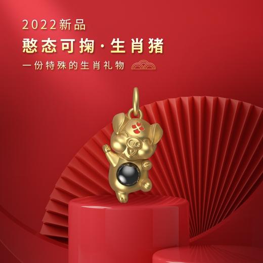 清仓特价：(8合1)楞大隨生肖银项链电镀金 吉祥物属相吊坠 守护投影石挂件 商品图12