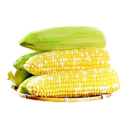 云南水果玉米，新鲜现发，爆浆多汁，甜嫩好吃，水煮都好吃 商品图4