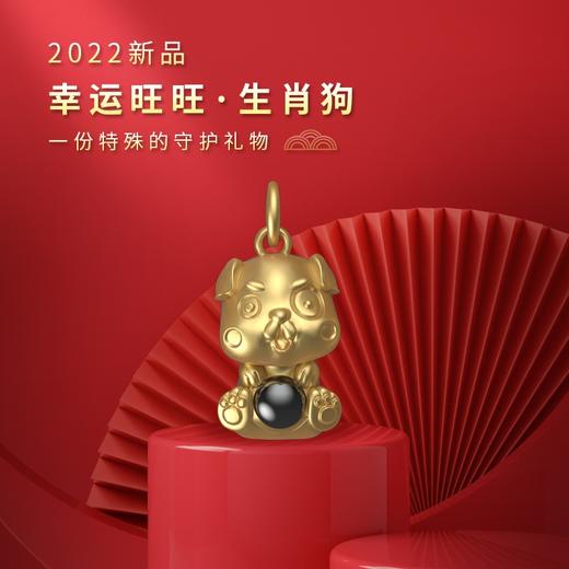 清仓特价：(8合1)楞大隨生肖银项链电镀金 吉祥物属相吊坠 守护投影石挂件 商品图11