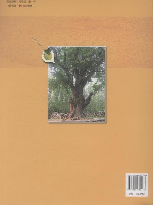 中国叶籽银杏 7648 资源分布 叶籽银杏生物学 形态 解剖学 发育过程 形态变异 细胞生物学 系统发育 遗传多样性 中国林业出版社 商品图2