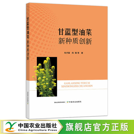 甘蓝型油菜新种质创新 29324 菜籽 油菜品种 油菜种植 油料作物 榨油 商品图0
