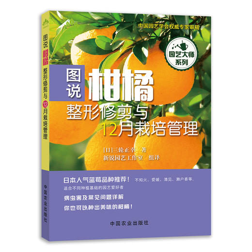 七册包邮 柑橘病虫害诊断防治 柑橘整形修剪 柑橘缺素症状及矫正技术 柑橘水肥一体化技术 柑橘生产精细管理 绿色食品柑橘300问 商品图2
