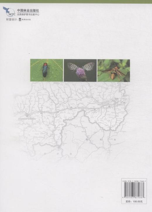 浙江清凉峰昆虫  7568 科技 中国林业出版社 商品图2