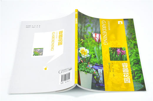 容器花园 9805 装饰门厅窗台阳台街头公园庭院应用 选择容器配置好土选择植物组合技巧后期养护 容器花园常用植物 案例分析书籍 商品图4