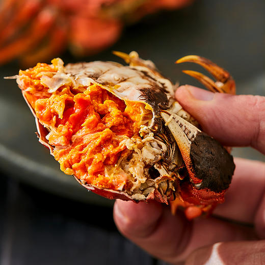 【蟹卡】湖中之W王大闸蟹2988型礼券  公4.5两/4只   母3.5两/4只螃蟹卡 商品图6