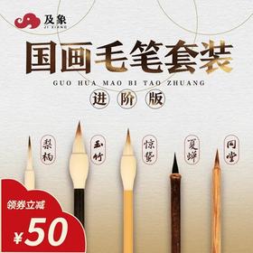 国画毛笔套装（进阶版）