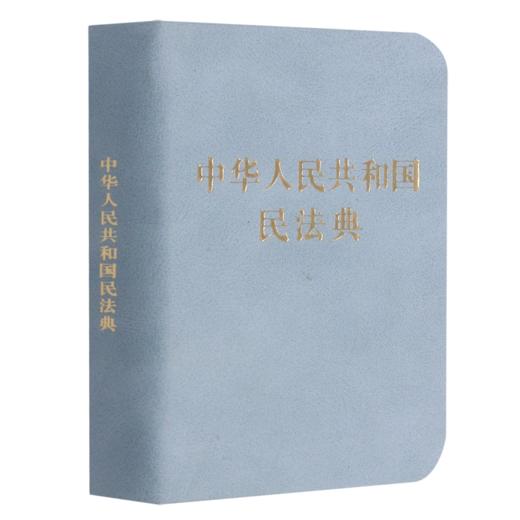 中华人民共和国民法典(精) 商品图0