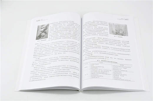 植物组培快繁技术 9657 李军 高等职业院校十三五规划教材 中国林业出版社 畅销书 商品图3