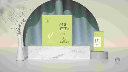 碧雅雪芽方形礼盒	160g 商品图1