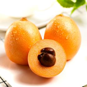 金衣枇杷 500g/份