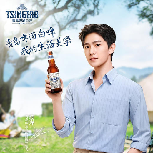 【青岛啤酒】白啤11度330ml*24瓶 商品图2