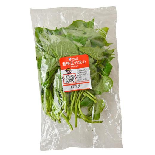 放心红苕尖 约200g/袋 商品图3