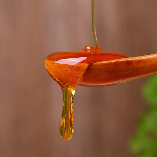 云南滇园.土蜂蜜   可以放心吃的好蜂蜜  环保玻璃瓶包装 商品图3