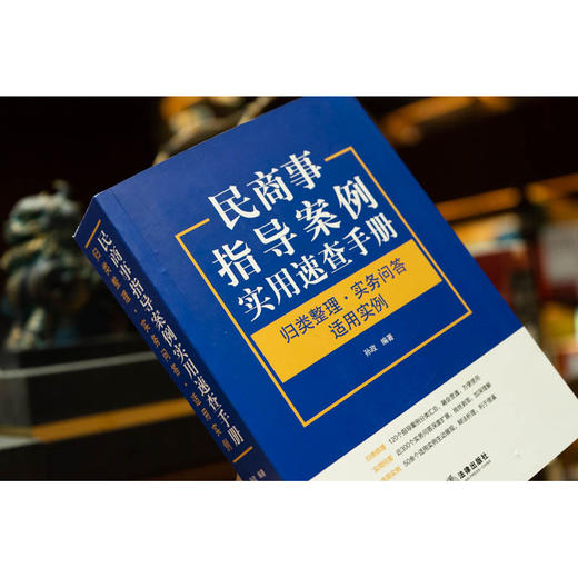 民商事指导案例实用速查手册 ：归类整理·实务问答·适用实例  孙政编著 商品图3