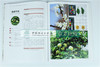 中国果树地方品种图志 中国李地方品种图志 9395 中国林业出版社 畅销书籍 商品缩略图3