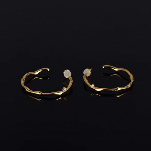 何F流金岁月倪妮同款荆棘耳环 商品图1