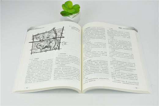 城市园林绿地规划 第5版第五版0172杨赉丽高等院校园林与风景园林专业规划教材普通高等教育十三五规划教材中国林业出版社畅销书籍 商品图3
