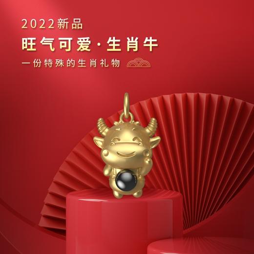 清仓特价：(8合1)楞大隨生肖银项链电镀金 吉祥物属相吊坠 守护投影石挂件 商品图2