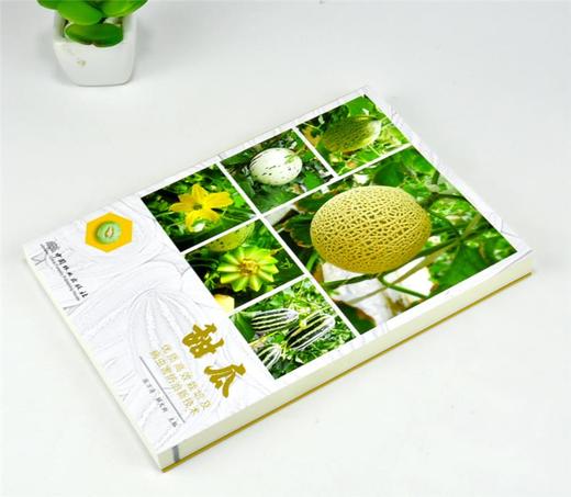 甜瓜优质高效栽培及病虫害防治新技术 9903 张万清 解文新 甜瓜种植分类 品种 栽培技术 中国林业出版社 畅销书 商品图2
