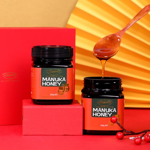 玉锦记麦卢卡蜂蜜 礼盒装 商品图2