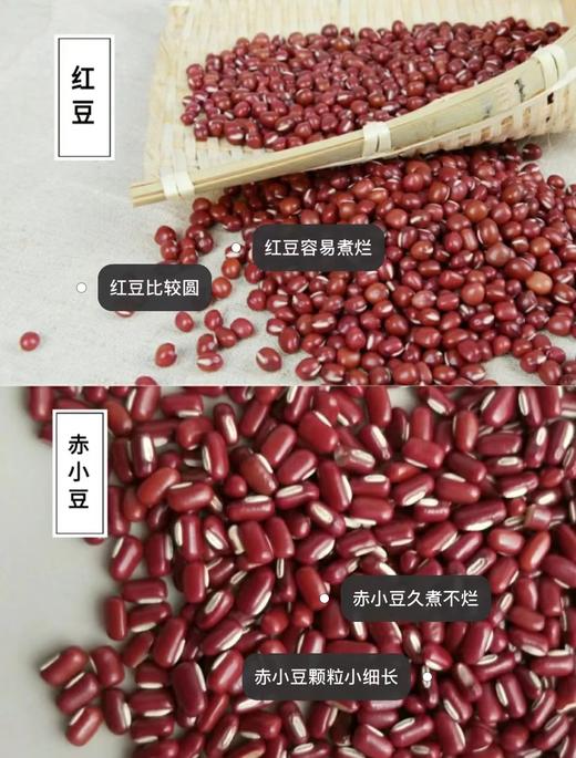  真正三蒸三晒祛湿茶，品一缕阳光的味道，简单平凡的祛湿茶 250g*2 瓶，赤小豆薏仁芡实祛湿茶 散发纯正食材的魅力 商品图11