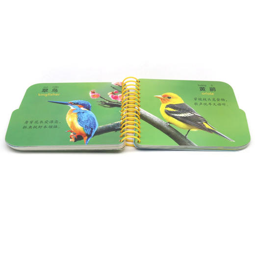 可爱动物/小车车翻翻卡 商品图4