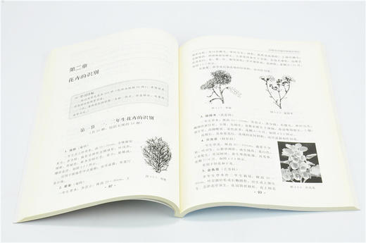 四级花卉园艺师培训教程 中级技能 4604 花卉园艺师职业技能培训教材 园艺师相关基础知识分花卉类与识别嫁接育苗整形修剪绿化施工 商品图3