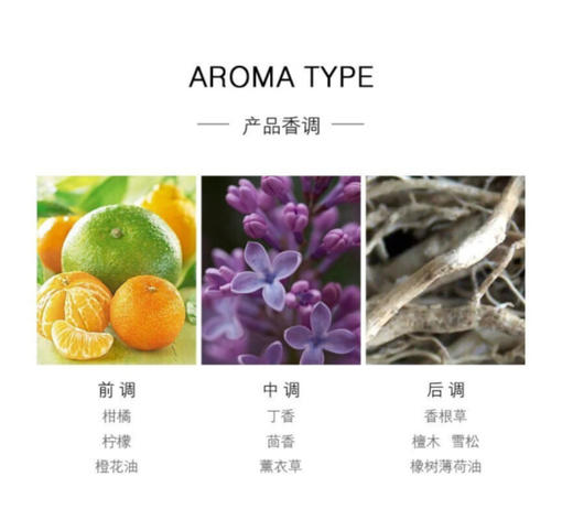 阿玛尼 寄情男士香水 淡香 50ml 商品图2