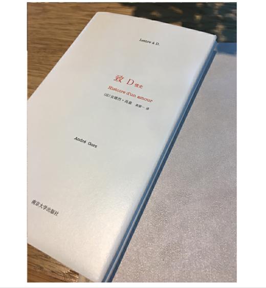 致D情史 商品图4