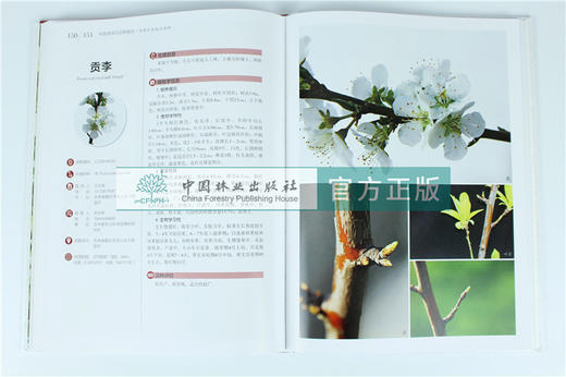 中国果树地方品种图志 中国李地方品种图志 9395 中国林业出版社 畅销书籍 商品图2