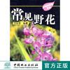 常见野花 第2版 第二版  汪劲武 5657华北地区野生草花 花灌木口袋书 郊游 科普 工具书 查询经济价值中国林业出版社官方自营店 商品缩略图0