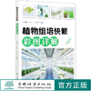 植物组培快繁彩图详解 焦顺然 吕秀立 杨风岭  樊菲 植物组织培养技术书籍  0821中国林业出版社239页 商品缩略图0