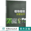 植物组培快繁技术 9657 李军 高等职业院校十三五规划教材 中国林业出版社 畅销书 商品缩略图0